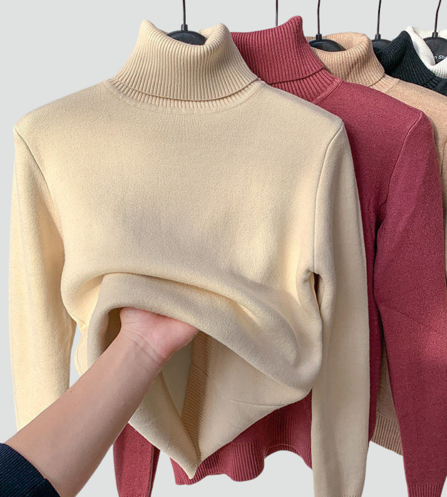 The Stretch Fine Knit Roll Neck